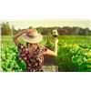 Image 14 : FRANCE, BORDEAUX & BASQUE 6 NIGHTS 4 PEOPLE TOP WINE & DINE EXPERIENCE