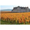 Image 3 : FRANCE, BORDEAUX & BASQUE 6 NIGHTS 4 PEOPLE TOP WINE & DINE EXPERIENCE