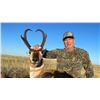 Image 1 : MONTANA ANTELOPE HUNT 4 NIGHT 1 HUNTER EASY DRAW