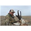 Image 2 : MONTANA ANTELOPE HUNT 4 NIGHT 1 HUNTER EASY DRAW