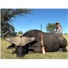 Image 1 : 2027/2028 - 5 DAY SOUTH AFRICAN SAFARI - INCLUDES CAPE BUFFALO UP TO 40"