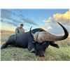Image 3 : 2027/2028 - 5 DAY SOUTH AFRICAN SAFARI - INCLUDES CAPE BUFFALO UP TO 40"