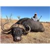 Image 7 : 2027/2028 - 5 DAY SOUTH AFRICAN SAFARI - INCLUDES CAPE BUFFALO UP TO 40"