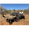 Image 8 : 2027/2028 - 5 DAY SOUTH AFRICAN SAFARI - INCLUDES CAPE BUFFALO UP TO 40"