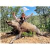 Image 10 : EXPERIENCE THE THRILL OF CLASSIC EUROPEAN BIG GAME HUNTING WITH ATP HUNT
