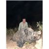 Image 11 : EXPERIENCE THE THRILL OF CLASSIC EUROPEAN BIG GAME HUNTING WITH ATP HUNT