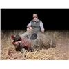 Image 12 : EXPERIENCE THE THRILL OF CLASSIC EUROPEAN BIG GAME HUNTING WITH ATP HUNT