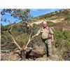 Image 1 : EXPERIENCE THE THRILL OF CLASSIC EUROPEAN BIG GAME HUNTING WITH ATP HUNT
