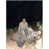 Image 2 : EXPERIENCE THE THRILL OF CLASSIC EUROPEAN BIG GAME HUNTING WITH ATP HUNT