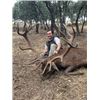 Image 3 : EXPERIENCE THE THRILL OF CLASSIC EUROPEAN BIG GAME HUNTING WITH ATP HUNT