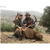 Image 5 : EXPERIENCE THE THRILL OF CLASSIC EUROPEAN BIG GAME HUNTING WITH ATP HUNT
