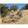 Image 6 : EXPERIENCE THE THRILL OF CLASSIC EUROPEAN BIG GAME HUNTING WITH ATP HUNT