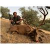 Image 7 : EXPERIENCE THE THRILL OF CLASSIC EUROPEAN BIG GAME HUNTING WITH ATP HUNT