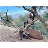 Image 8 : EXPERIENCE THE THRILL OF CLASSIC EUROPEAN BIG GAME HUNTING WITH ATP HUNT