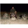 Image 9 : EXPERIENCE THE THRILL OF CLASSIC EUROPEAN BIG GAME HUNTING WITH ATP HUNT