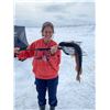 Image 4 : 2.5 DAY/3 NIGHTS N.D. PIKE SPEAR FISHING FOR ONE (ACCOMPANIED BY FULLY PAID ANGLER AT $1800)