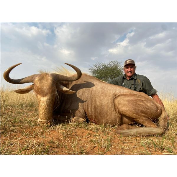 7 DAY SOUTH AFRICAN SAFARI FOR  2-4 HUNTERS INCLUDING PREMIUM TROPHY FOR EACH HUNTER AND OPTIONAL TI