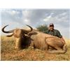 Image 1 : 7 DAY SOUTH AFRICAN SAFARI FOR  2-4 HUNTERS INCLUDING PREMIUM TROPHY FOR EACH HUNTER AND OPTIONAL TI