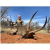 Image 2 : 7 DAY SOUTH AFRICAN SAFARI FOR  2-4 HUNTERS INCLUDING PREMIUM TROPHY FOR EACH HUNTER AND OPTIONAL TI