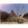 Image 4 : 7 DAY SOUTH AFRICAN SAFARI FOR  2-4 HUNTERS INCLUDING PREMIUM TROPHY FOR EACH HUNTER AND OPTIONAL TI