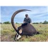 Image 5 : 7 DAY SOUTH AFRICAN SAFARI FOR  2-4 HUNTERS INCLUDING PREMIUM TROPHY FOR EACH HUNTER AND OPTIONAL TI