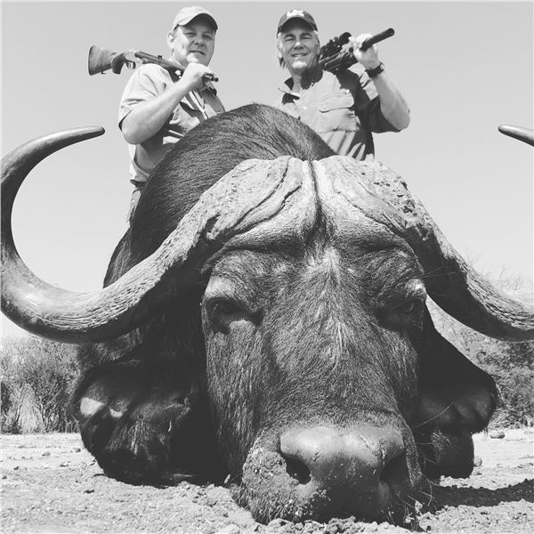 2026/2027 S AFRICA SAFARI FOR 2 HUNTERS AND 2 OBSERVERS - CAPE BUFFALO (UP TO 42") AND BLUE WILDEBEE