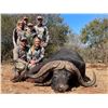 Image 2 : 2026/2027 S AFRICA SAFARI FOR 2 HUNTERS AND 2 OBSERVERS - CAPE BUFFALO (UP TO 42") AND BLUE WILDEBEE