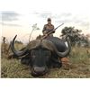 Image 7 : 2026/2027 S AFRICA SAFARI FOR 2 HUNTERS AND 2 OBSERVERS - CAPE BUFFALO (UP TO 42") AND BLUE WILDEBEE