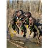 Image 1 : 4 DAY NORTH DAKOTA WATERFOWL HUNT FOR TWO