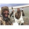 Image 6 : 4 DAY NORTH DAKOTA WATERFOWL HUNT FOR TWO