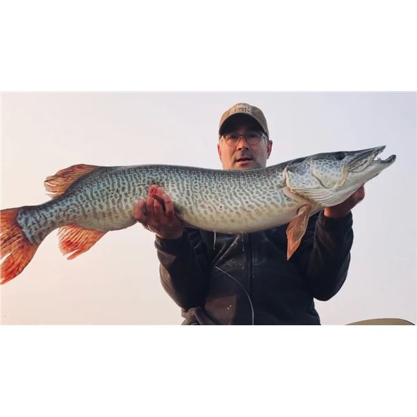 FULLY GUIDED WALLEYE, PIKE AND SMALLMOUTH FISHING FOR ONE IN NORTH DAKOTA (ACCOMPANIED BY PAYING ANG