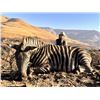 Image 1 : 7 DAY SOUTH AFRICAN SAFARI FOR 1 HUNTER AND 1 OBSERVER, INCLUDES 4 ANIMALS