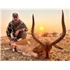 Image 5 : 7 DAY SOUTH AFRICAN SAFARI FOR 1 HUNTER AND 1 OBSERVER, INCLUDES 4 ANIMALS
