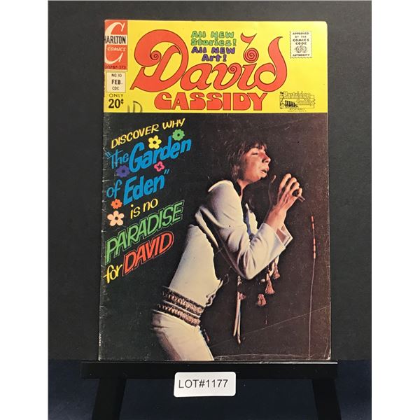 David Cassidy #10 (1973)