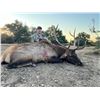 Image 10 : L& L Adventures donates a Texas Trophy Whitetail Hunt for two hunters Valued at $9800