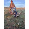 Image 6 : L& L Adventures donates a Texas Trophy Whitetail Hunt for two hunters Valued at $9800