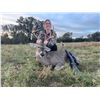 Image 7 : L& L Adventures donates a Texas Trophy Whitetail Hunt for two hunters Valued at $9800