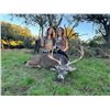 Image 8 : L& L Adventures donates a Texas Trophy Whitetail Hunt for two hunters Valued at $9800