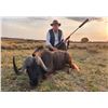Image 5 : South Africa Big Game Hunt For 3 Hunters - 6 Days