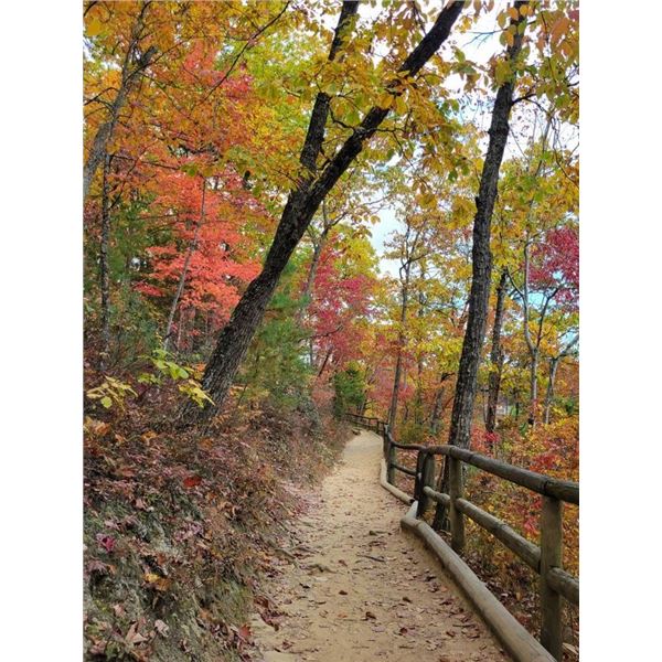 Red River Gorge Canyons - East Central Kentucky Weekend Retreat 3-night weekend stay for up to 10