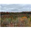 Image 2 : Red River Gorge Canyons - East Central Kentucky Weekend Retreat 3-night weekend stay for up to 10
