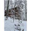 Image 3 : Red River Gorge Canyons - East Central Kentucky Weekend Retreat 3-night weekend stay for up to 10