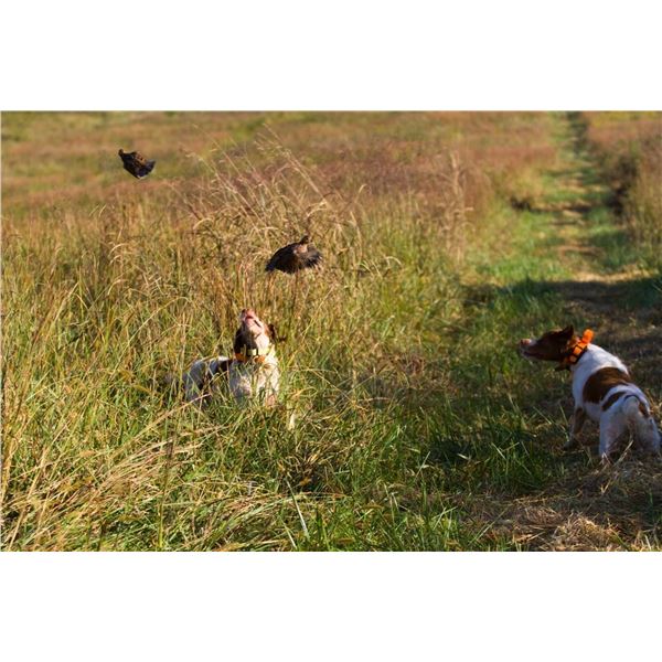 Divided Find Ranch donates Texas Quail Hunt Package for 2 Hunters for 2 Nights