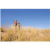 Image 5 : Divided Find Ranch donates Texas Quail Hunt Package for 2 Hunters for 2 Nights