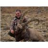 Image 14 : ATP Hunts (Spain) donates trophy fees for (1) Roe Buck, or (1) Red Stag and (1) Wild Boar, & Exper.
