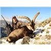 Image 15 : ATP Hunts (Spain) donates trophy fees for (1) Roe Buck, or (1) Red Stag and (1) Wild Boar, & Exper.