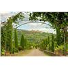 Image 1 : Cortona Hilltop for 4 / 6-night stay in a 2-bedroom / 2-bath apt w / pvt. wine tasting & pers. chef