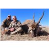 Image 3 : Royal Frontera Safaris donates 7 Hunting days for 2 hunters for CROCODILE South Africa 2026 / 27
