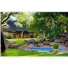 Image 6 : Royal Frontera Safaris donates 7 Hunting days for 2 hunters for CROCODILE South Africa 2026 / 27