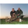 Image 1 : EHA Safari Art donates ROE DEER IN SERBIA HUNT for 2 hunters or 1 hunter & 1 observer 2026 - 27
